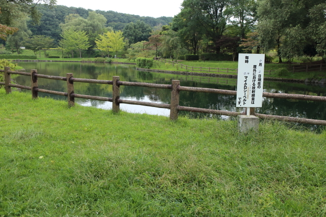 黒磯ジャズフェスティバル2015 in 那珂川河畔公園_e0227942_22440753.jpg