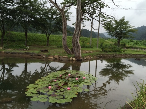 c0195543_23223766.jpg