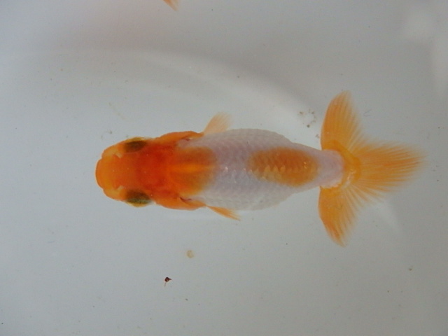 f0334143_1927286.jpg