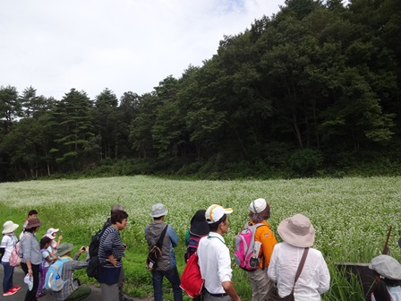 第14回『ふるさと岡山の森を訪ねる旅』_b0211845_19163787.jpg