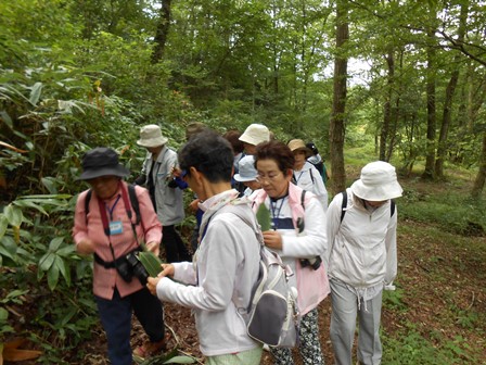 第14回『ふるさと岡山の森を訪ねる旅』_b0211845_19173570.jpg