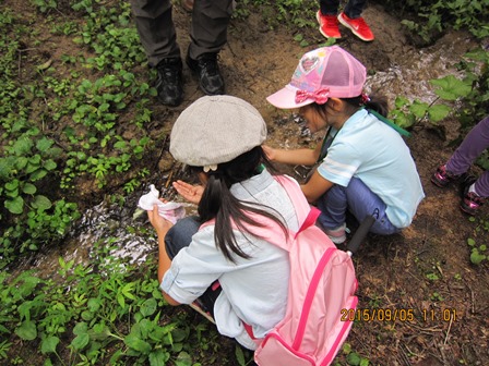 第14回『ふるさと岡山の森を訪ねる旅』_b0211845_19175024.jpg