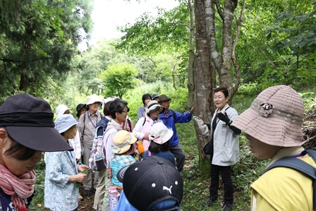 第14回『ふるさと岡山の森を訪ねる旅』_b0211845_1919477.jpg