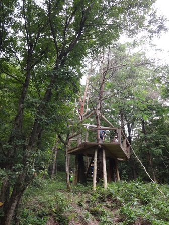第14回『ふるさと岡山の森を訪ねる旅』_b0211845_1930150.jpg