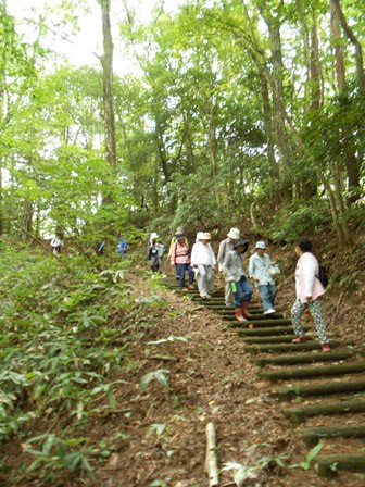 第14回『ふるさと岡山の森を訪ねる旅』_b0211845_19303353.jpg