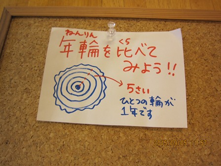 第14回『ふるさと岡山の森を訪ねる旅』_b0211845_1948780.jpg