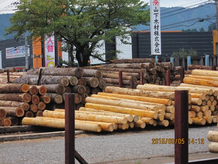 第14回『ふるさと岡山の森を訪ねる旅』_b0211845_2002418.jpg