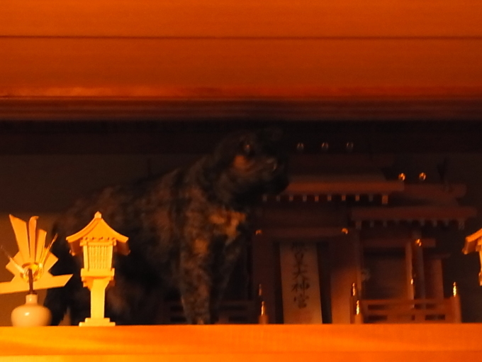 a0305046_11043087.jpg