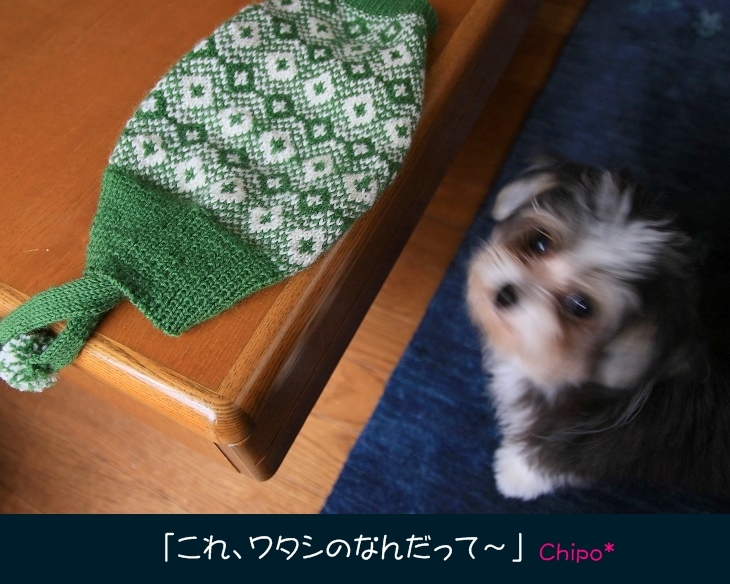 c0145250_11184610.jpg