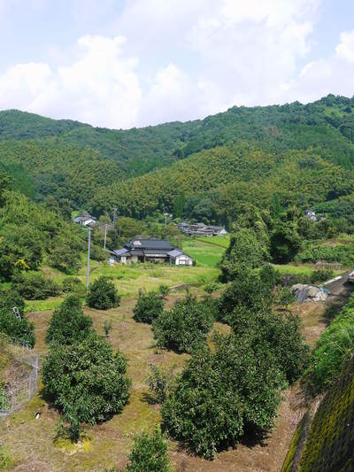 敬老の日のギフト令和4年度の商品ラインナップ紹介!熊本産の朝採りフルーツやエゴマ油はいかがですか?_a0254656_1847355.jpg