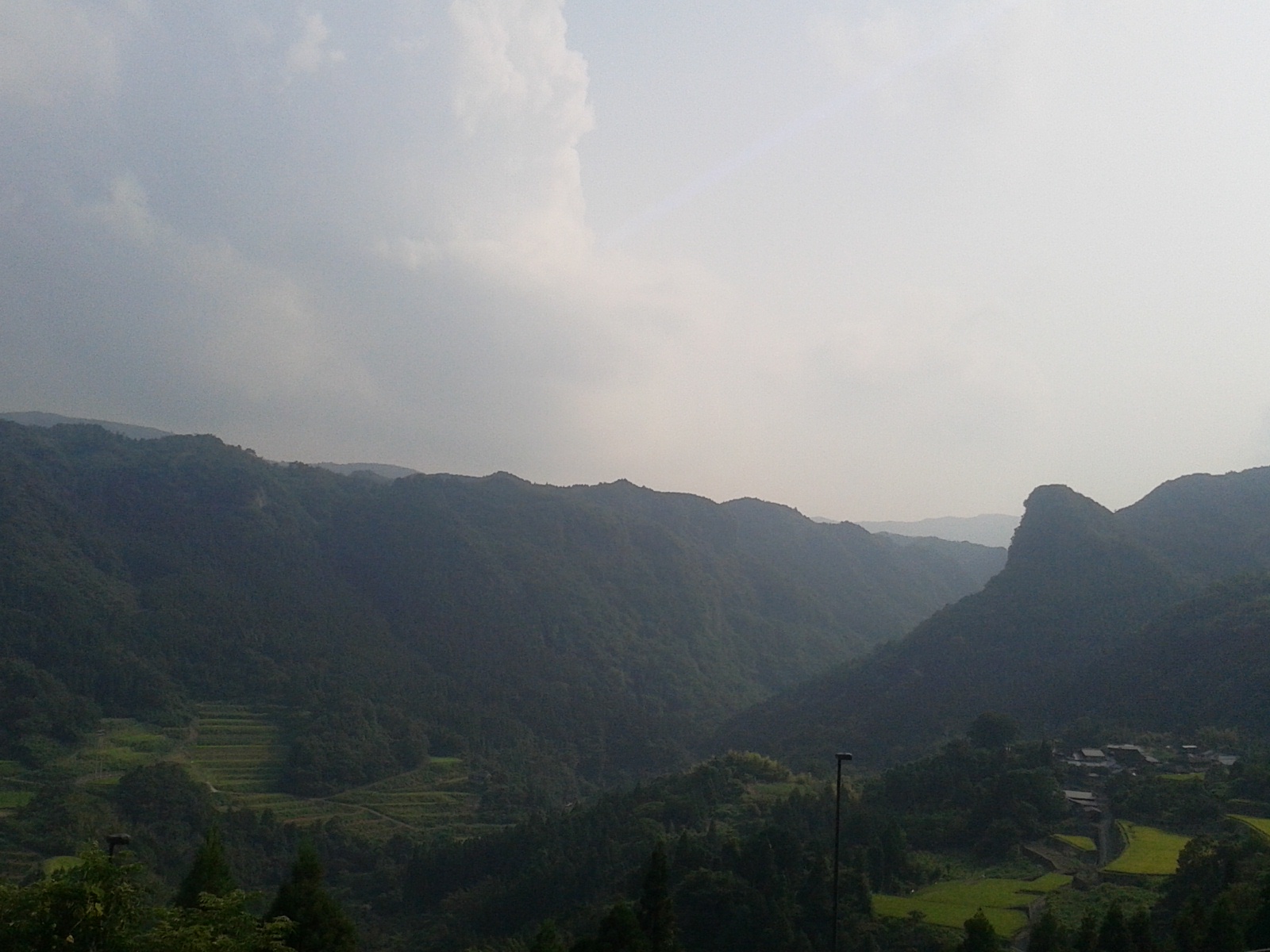 a0174458_54205.jpg