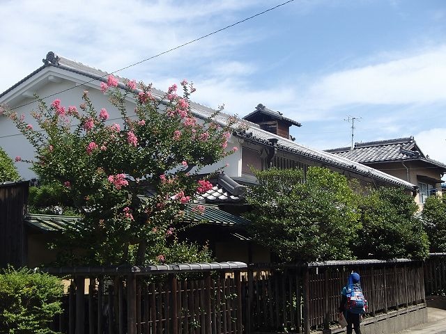 b0044663_13242738.jpg
