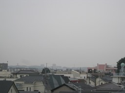 今月も高知に行きます。_f0291565_15322144.jpg