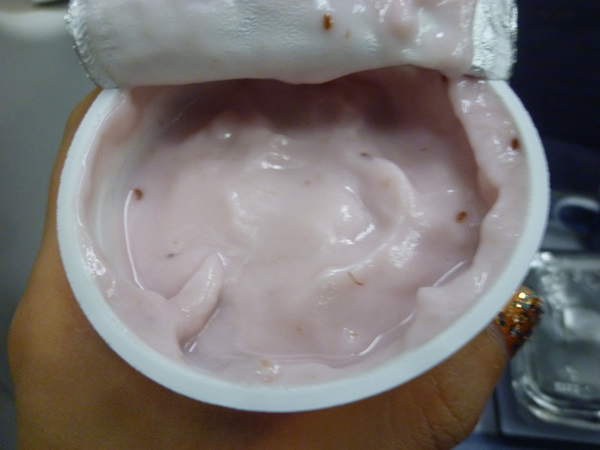 CHINA AIRLINES ホノルル→成田便の機内食2015春_c0152767_21275241.jpg