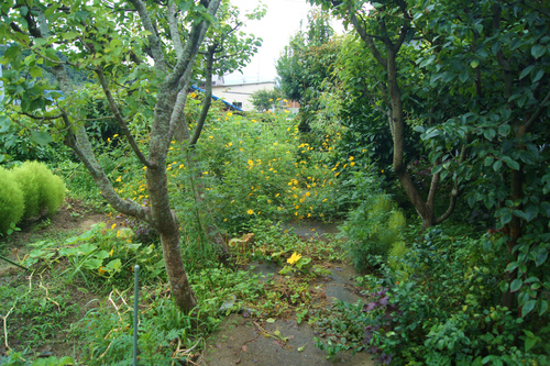 e0181373_19174713.jpg