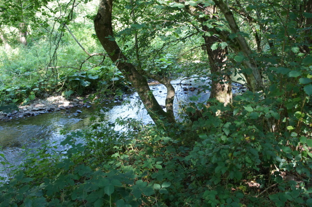 e0341275_21145783.jpg
