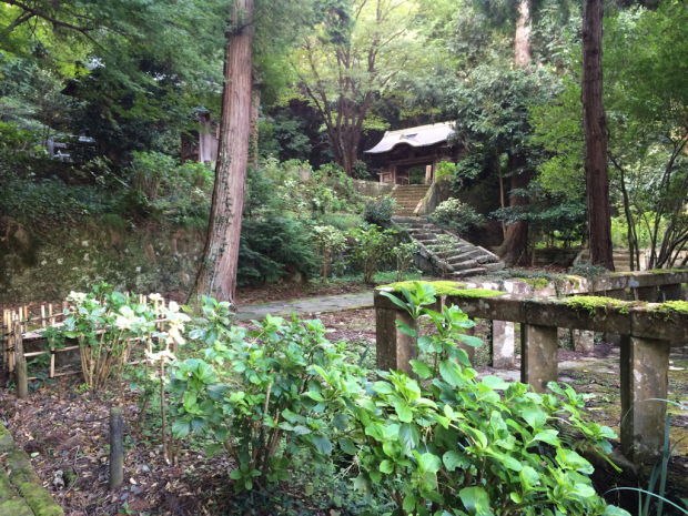 そして小泉八雲の称える 月照寺 へ2015.9.7_b0174284_21035300.jpg