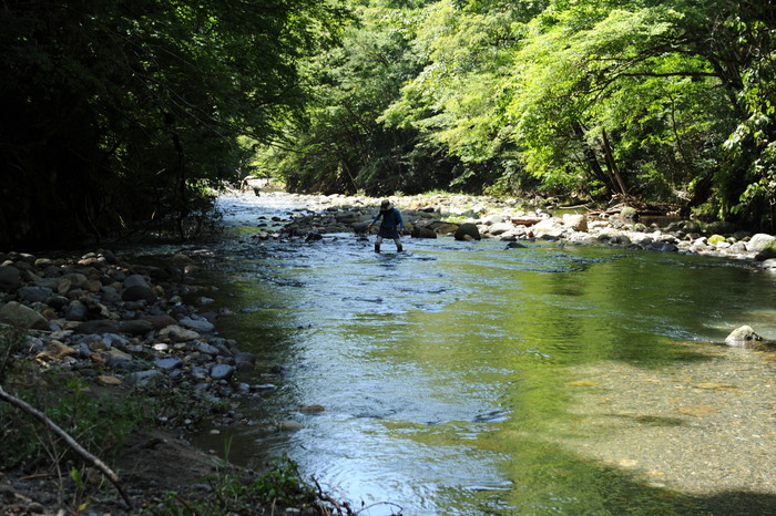 ぐるっと奥美濃へ part1_a0049296_20294045.jpg