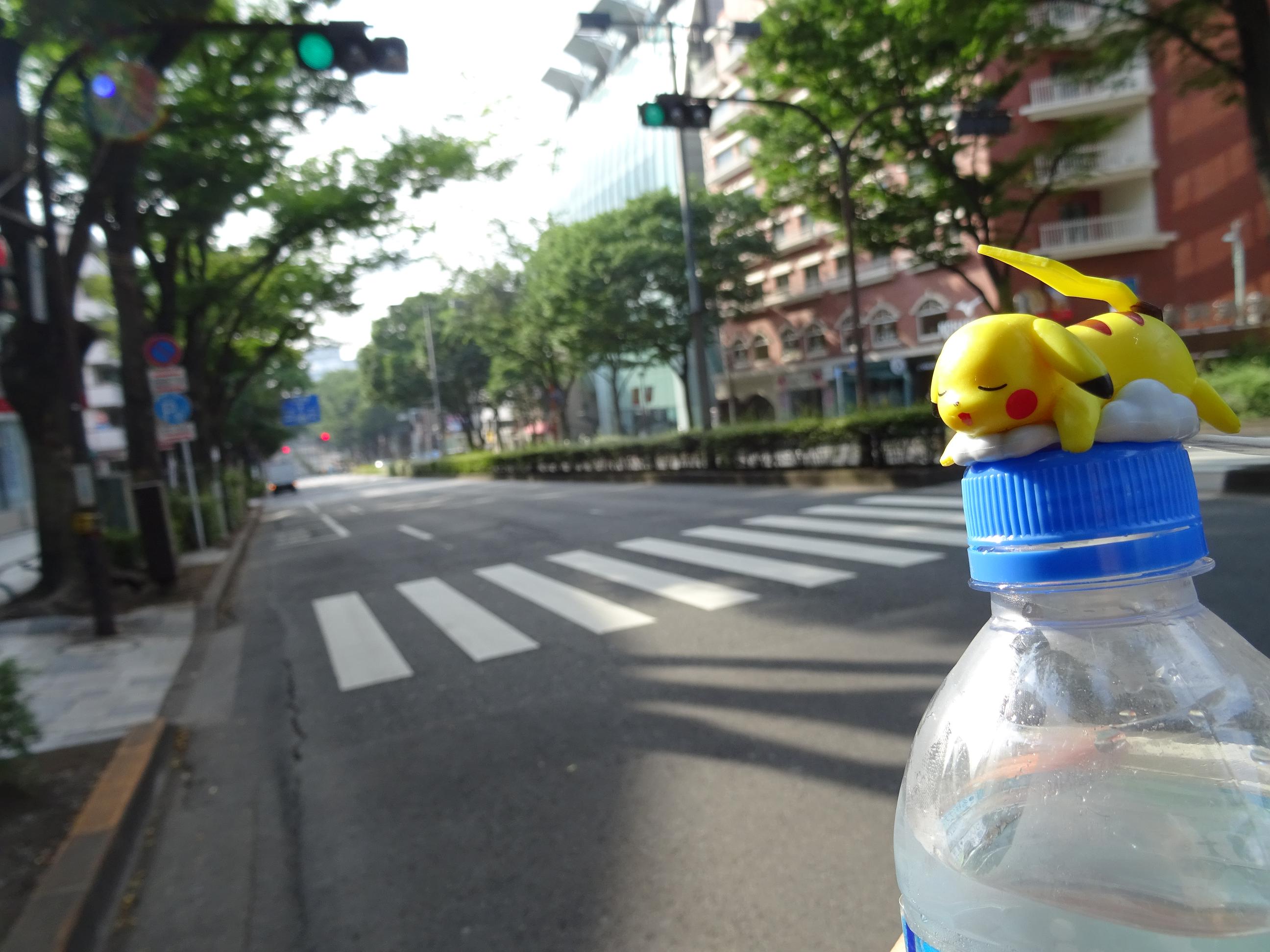 b0001402_23224376.jpg