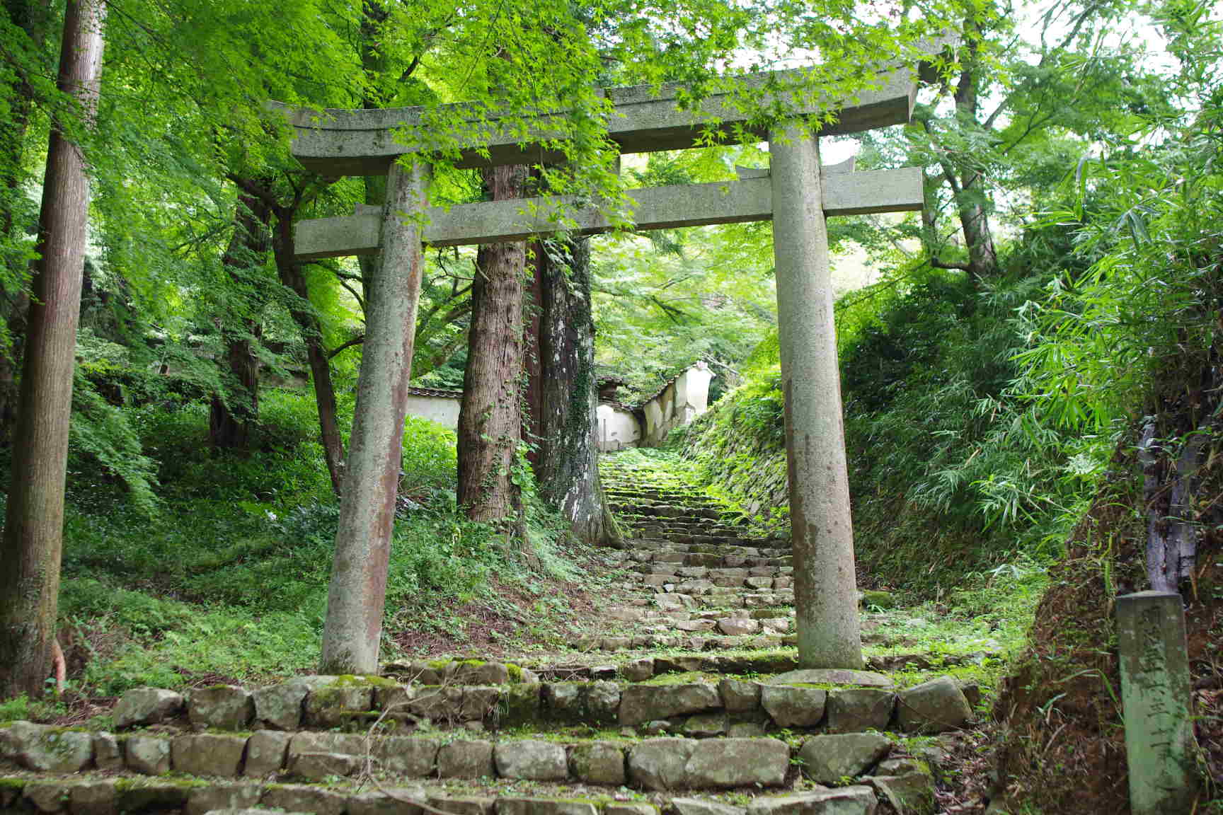 島根県 津和野町役場 つわの暮らし推進課・・・_c0192503_19214592.jpg