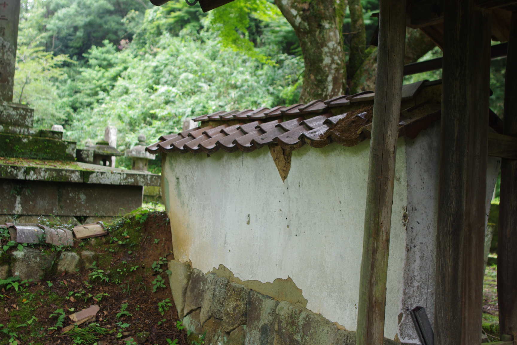 島根県 津和野町役場 つわの暮らし推進課・・・_c0192503_19222220.jpg