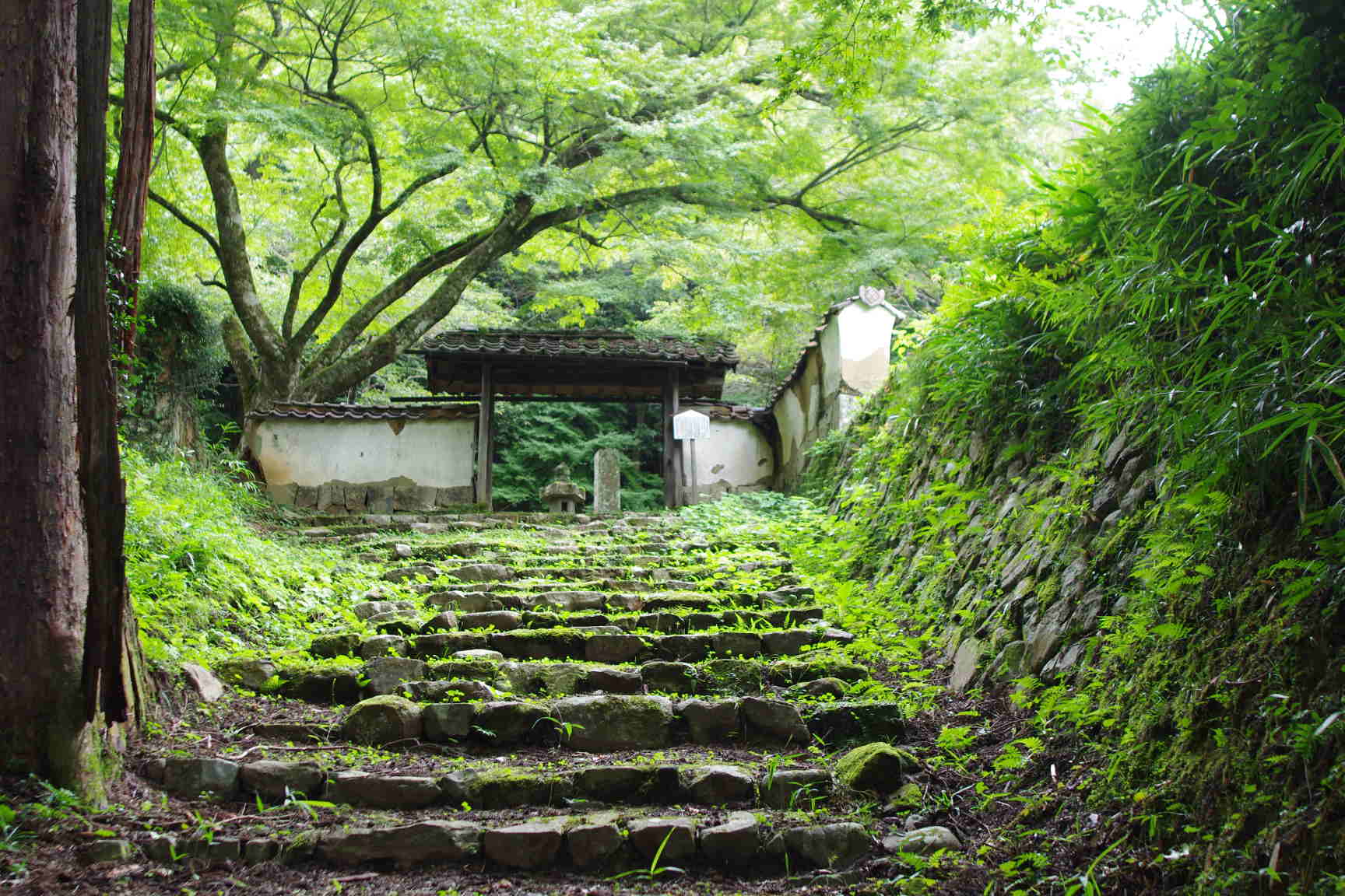 島根県 津和野町役場 つわの暮らし推進課・・・_c0192503_1922233.jpg