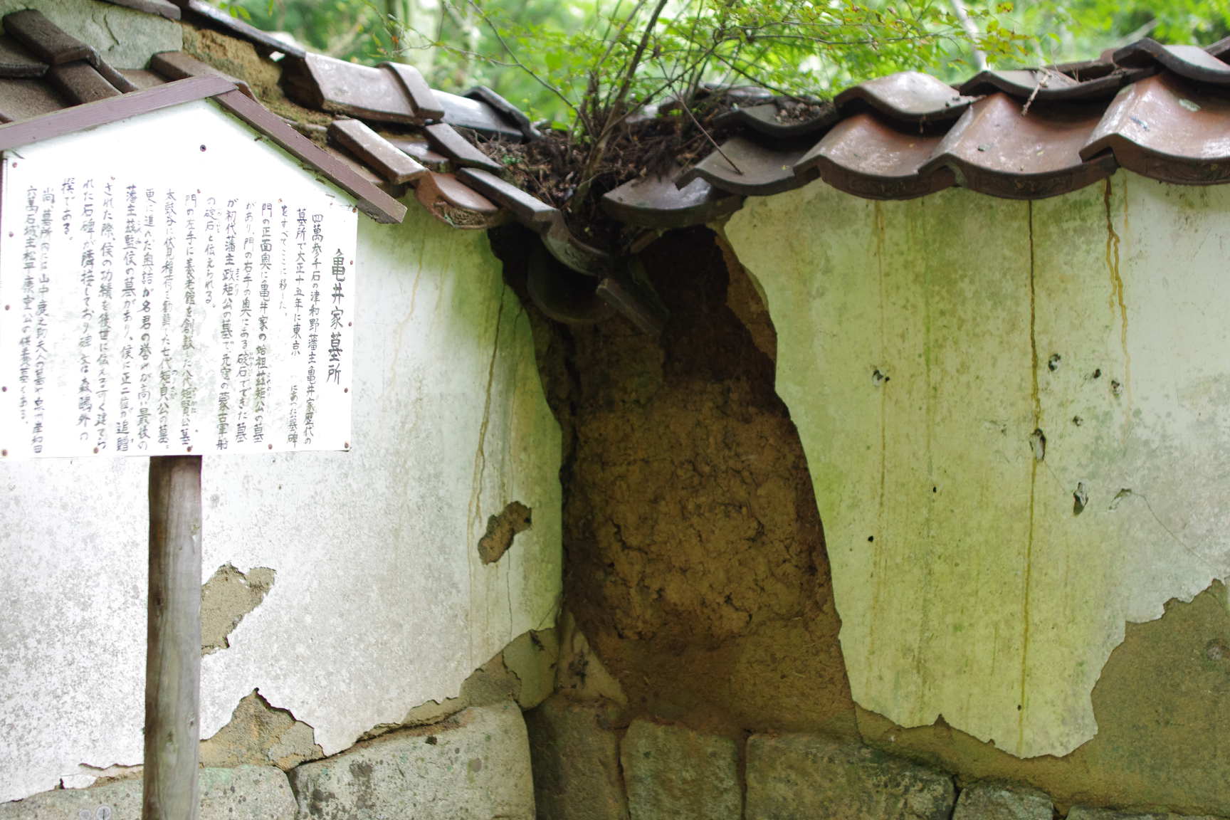 島根県 津和野町役場 つわの暮らし推進課・・・_c0192503_19223585.jpg