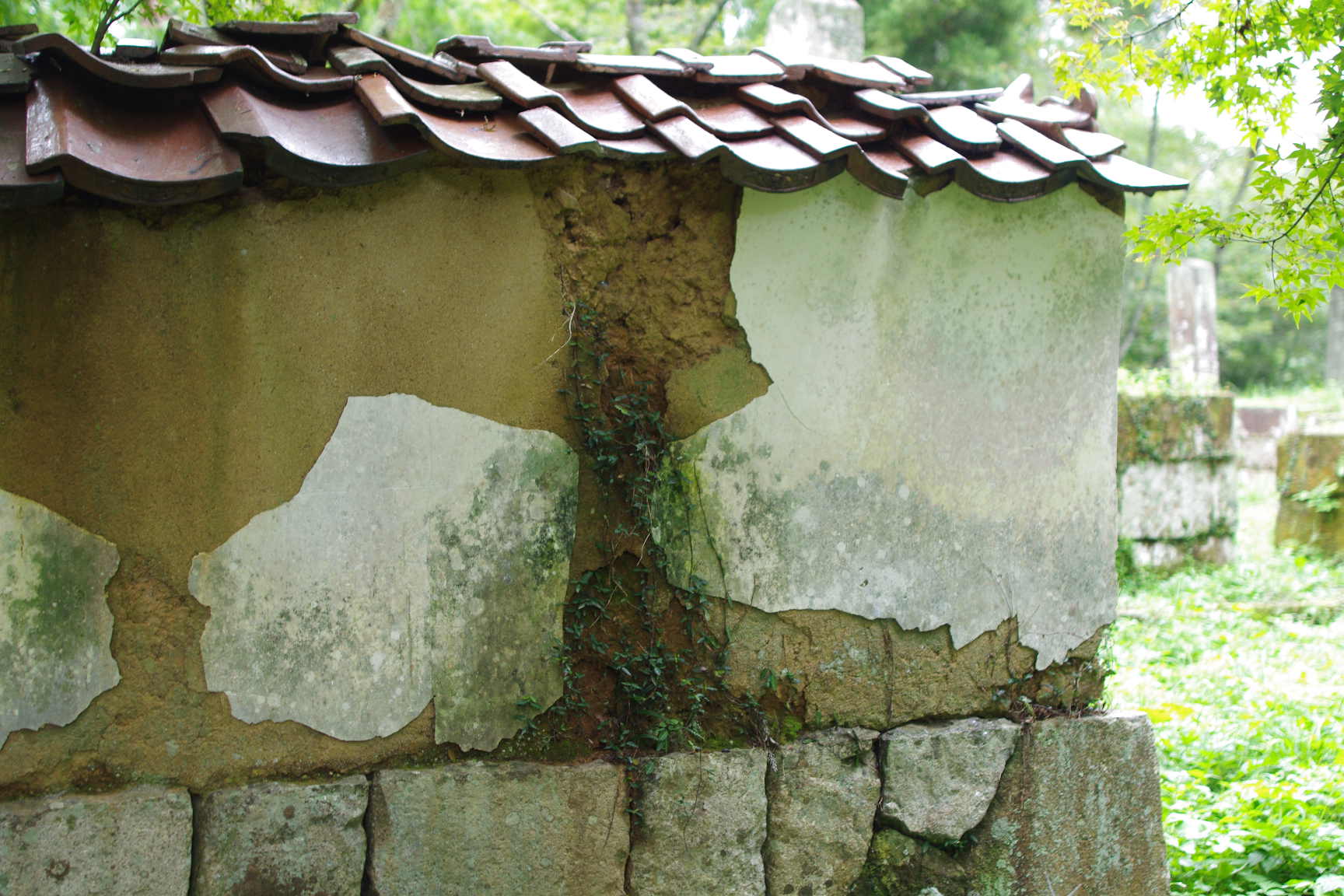 島根県 津和野町役場 つわの暮らし推進課・・・_c0192503_19225064.jpg