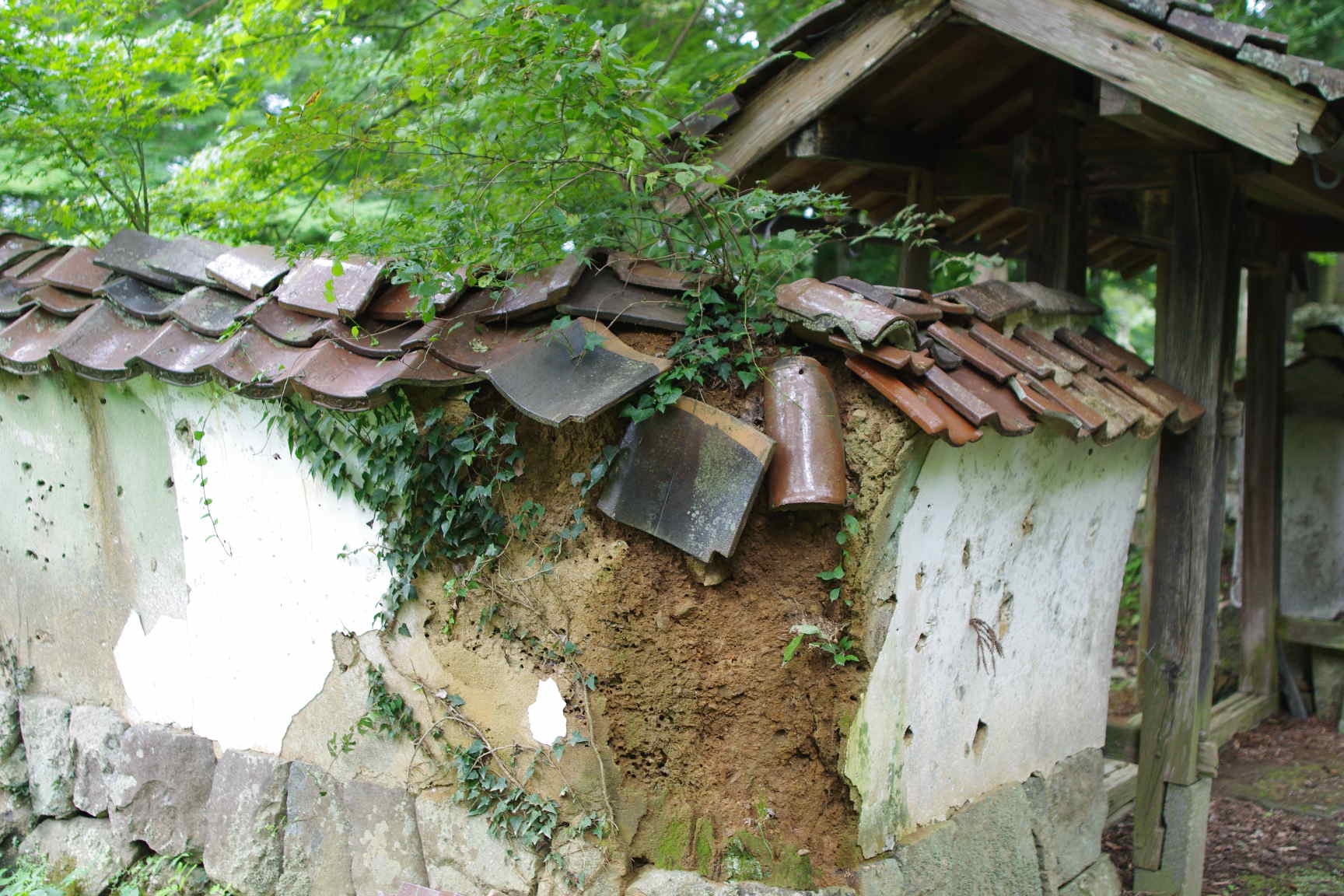 島根県 津和野町役場 つわの暮らし推進課・・・_c0192503_19232744.jpg