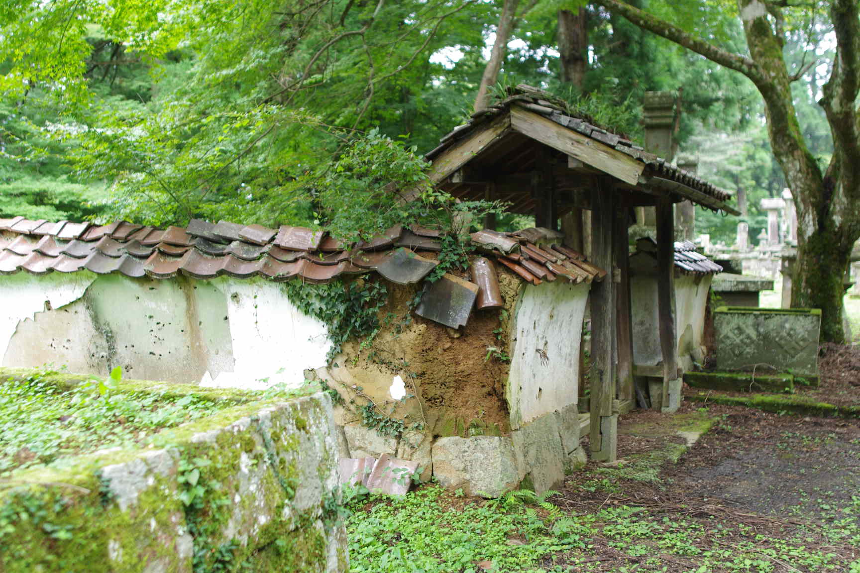 島根県 津和野町役場 つわの暮らし推進課・・・_c0192503_19234397.jpg