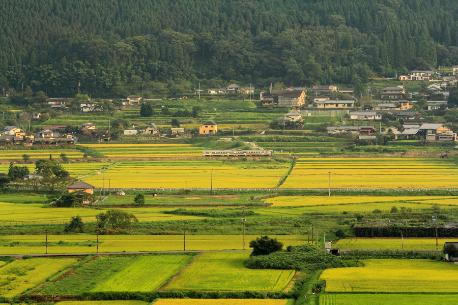 初秋の由布院盆地_e0093903_0154633.jpg