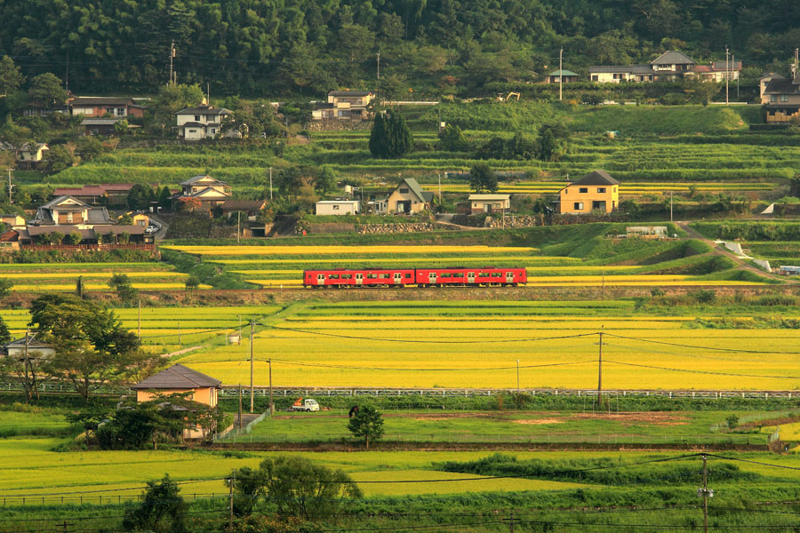 初秋の由布院盆地_e0093903_016618.jpg