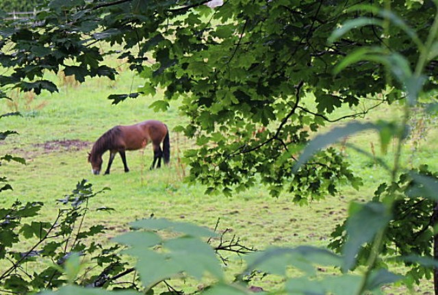 c0178009_2114473.jpg