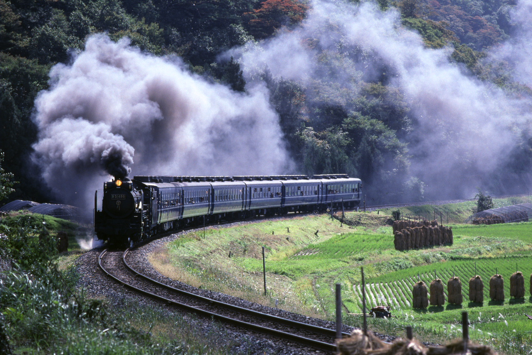 晩秋を走るD51 - 1990年・陸羽東線 - _b0190710_23362790.jpg