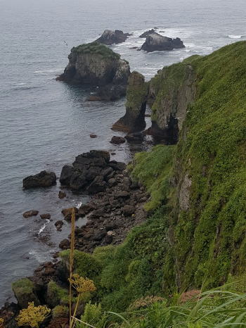 d0027711_16431095.jpg