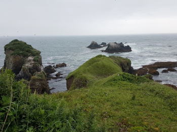 d0027711_16431627.jpg