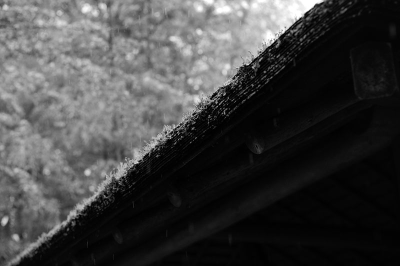 f0032011_19243010.jpg