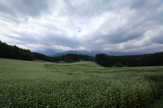 e0242721_7351615.jpg