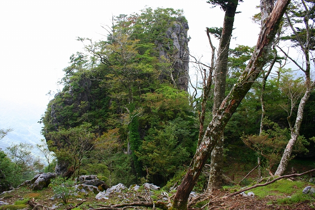 石楠越え～南山犬切～七編巡り～水上越_f0193521_11231832.jpg