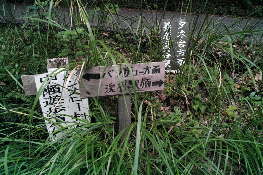 養老渓谷ハイキング④（奥養老バンガロー村から観音橋へ）後半_c0223825_02310887.jpg