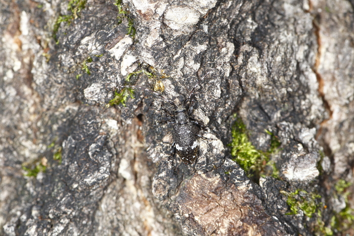 e0337826_2293060.jpg