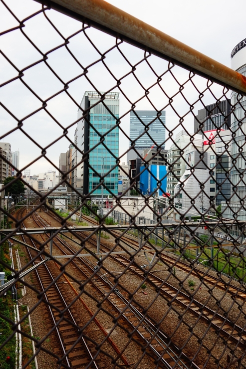 a0287336_2353646.jpg