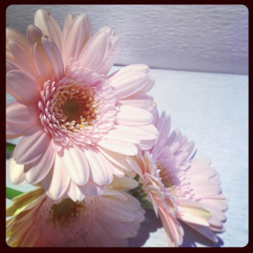*毎週水曜Lady\'s Day*_c0336346_19355207.jpg