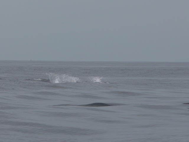 e0017051_8415079.jpg