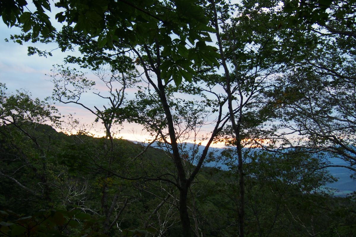 e0105954_15524055.jpg