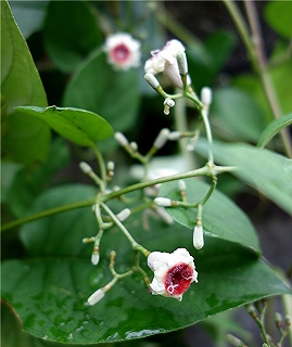 e0012055_22493669.jpg