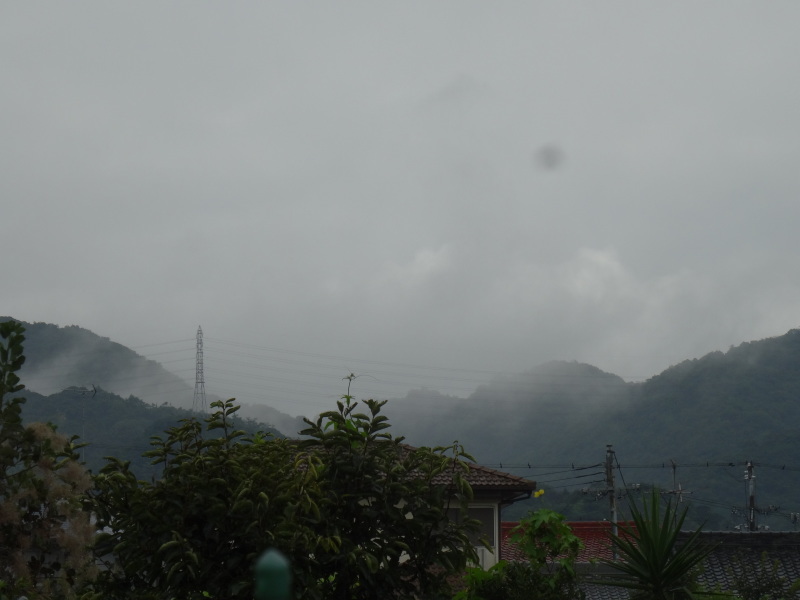 c0108460_11241340.jpg