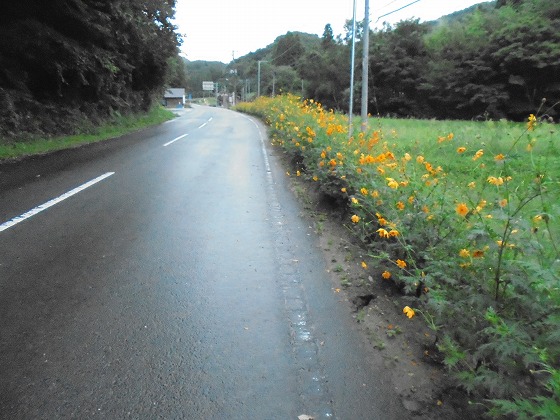 花いっぱいコンクール参加地域です^^_a0118461_19543277.jpg