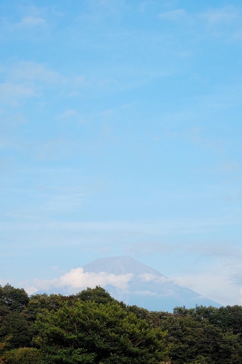 c0117383_1037101.jpg