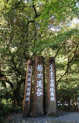 遠回りして帰る (阿蘇~菊地渓谷)_d0195183_20496100.jpg